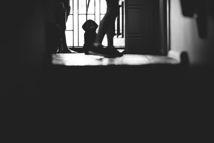 sydney photographer - dog waiting at front door