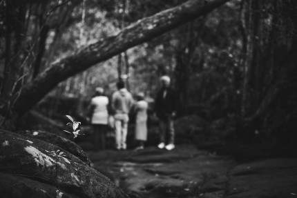 photographerssydney\family in the bush at Bobbin Head