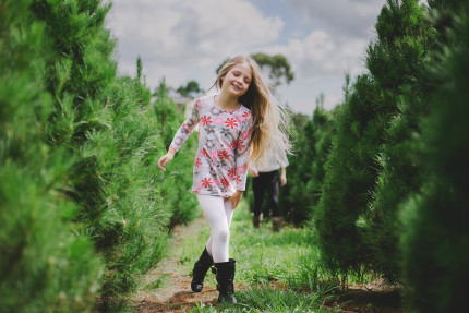 photographers sydney - Girl at real Christmas tree farm